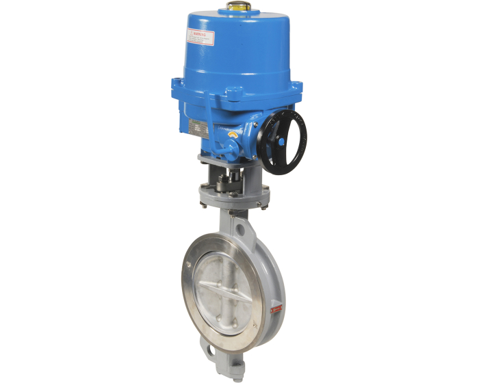 Double offset butterfly valve 1100 DN50 + NA06 230 V AC